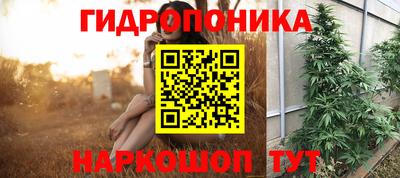 спайс Кулебаки