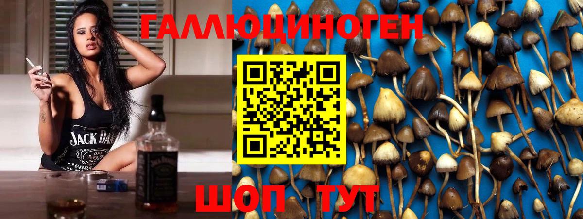 Галлюциногенные грибы GOLDEN TEACHER  Вход с VPN  Донской  Псилоцибиновые грибы MAGIC MUSHROOMS 